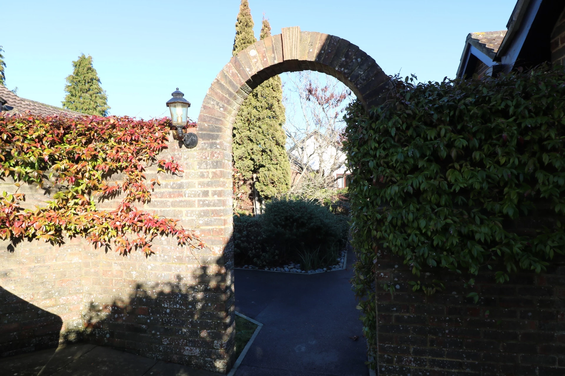 Photo 10