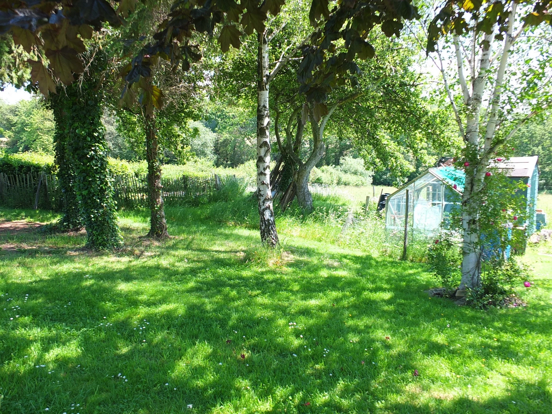 Photo 7