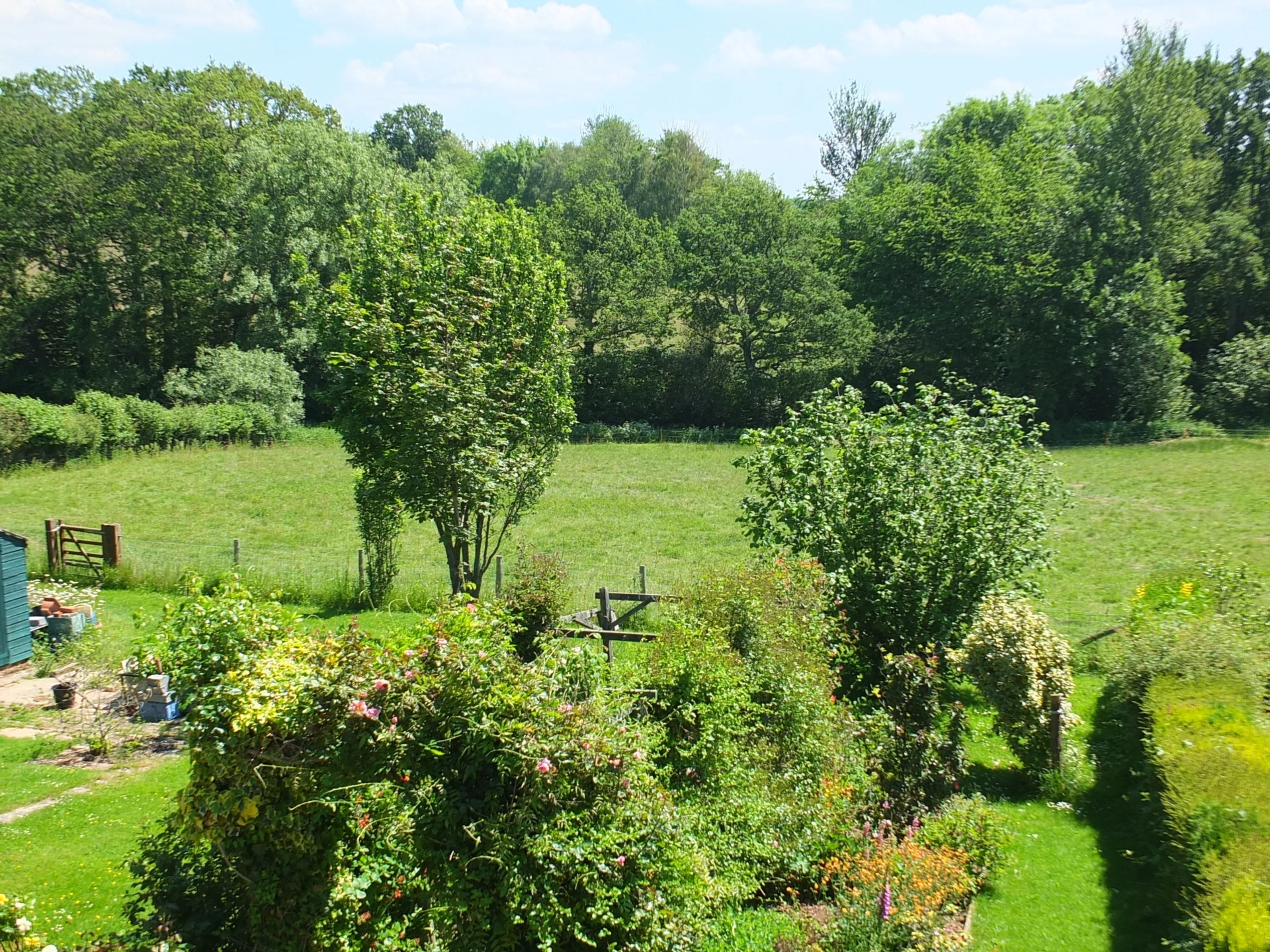 Photo 20