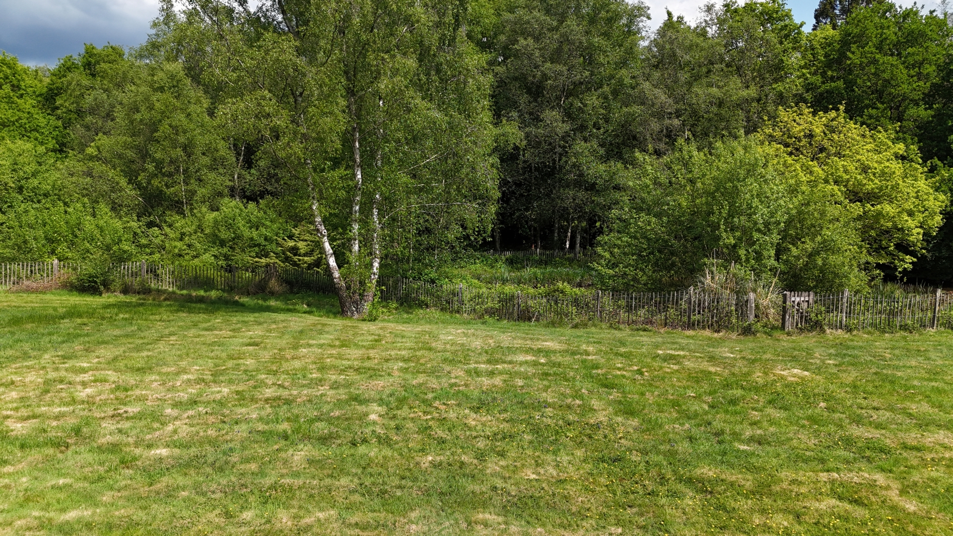 Photo 49