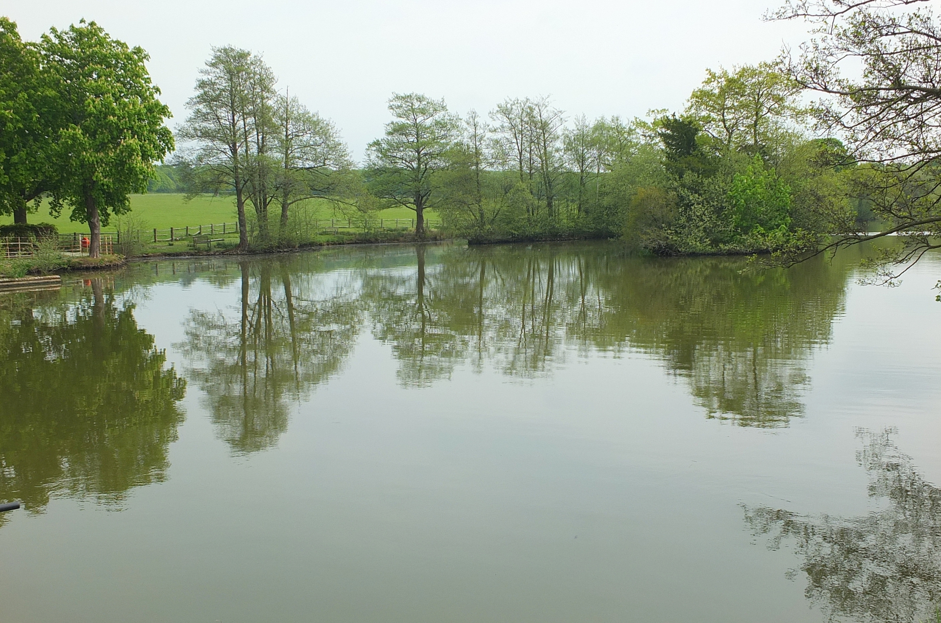 Property For Sale St Park, Ditchling Common, Haywards Heath