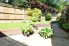 Garden Garden