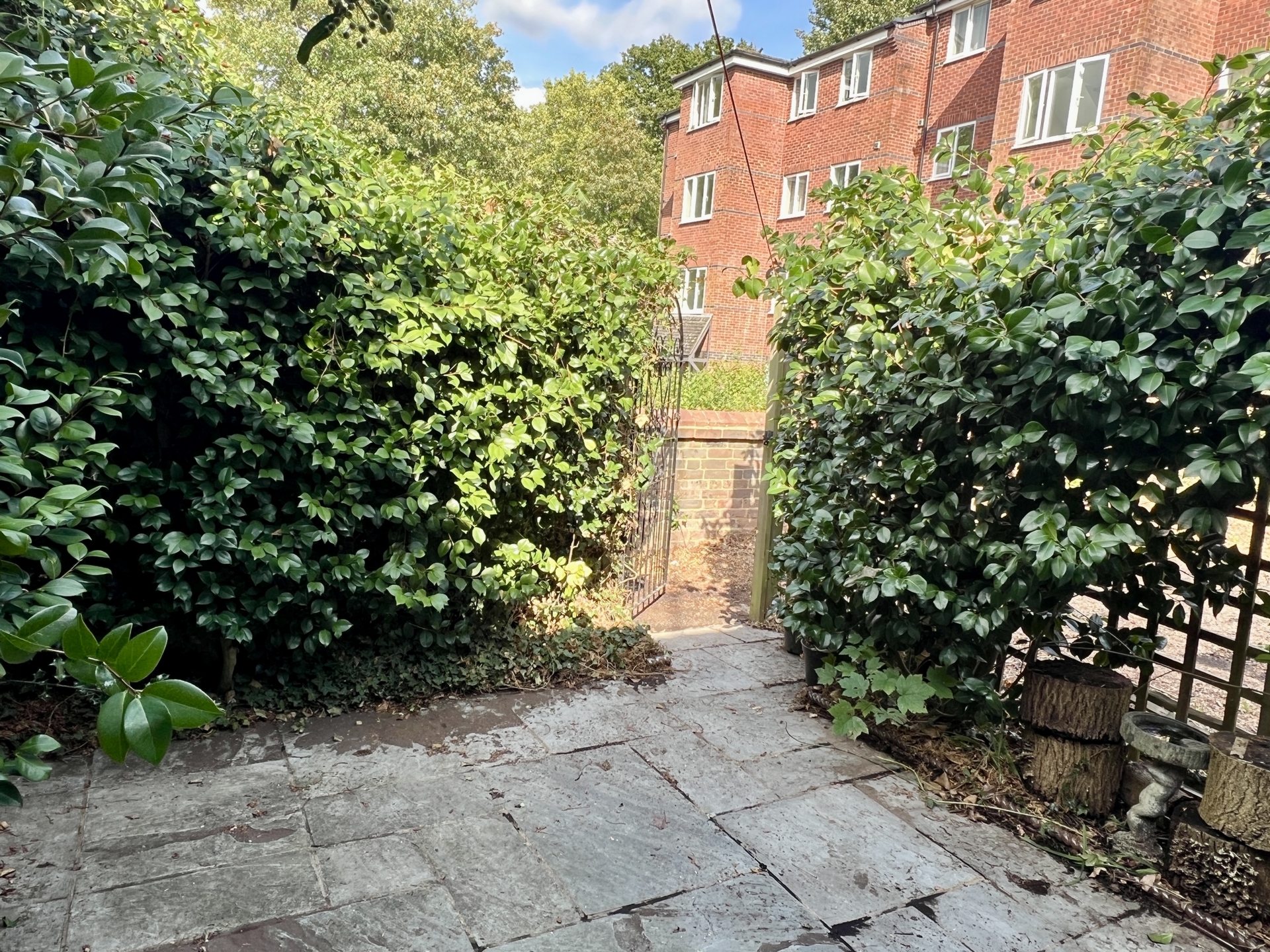 garden 1