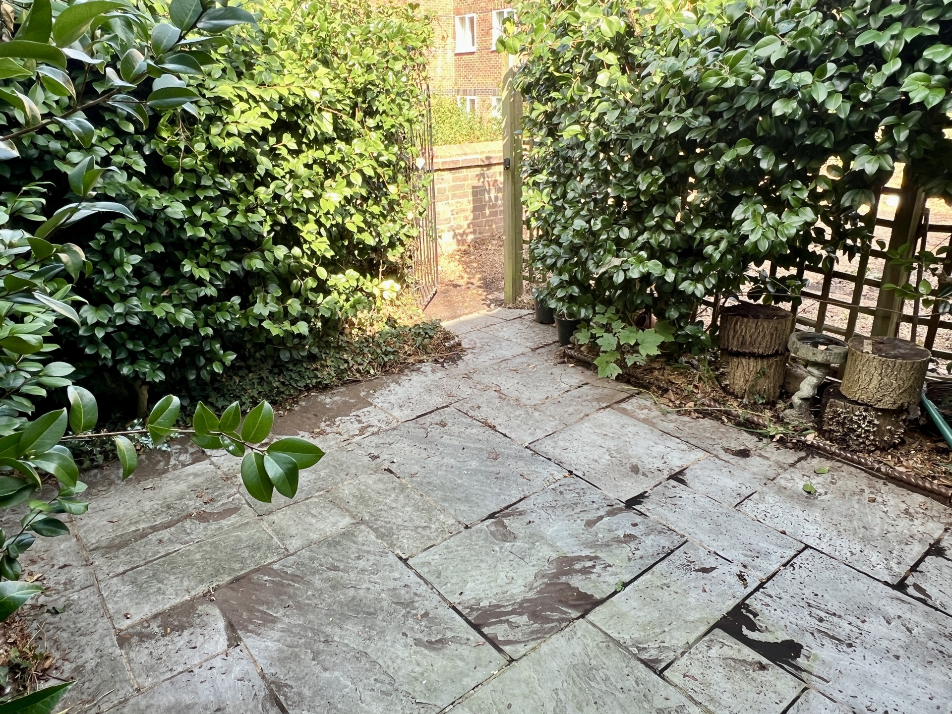 garden 2
