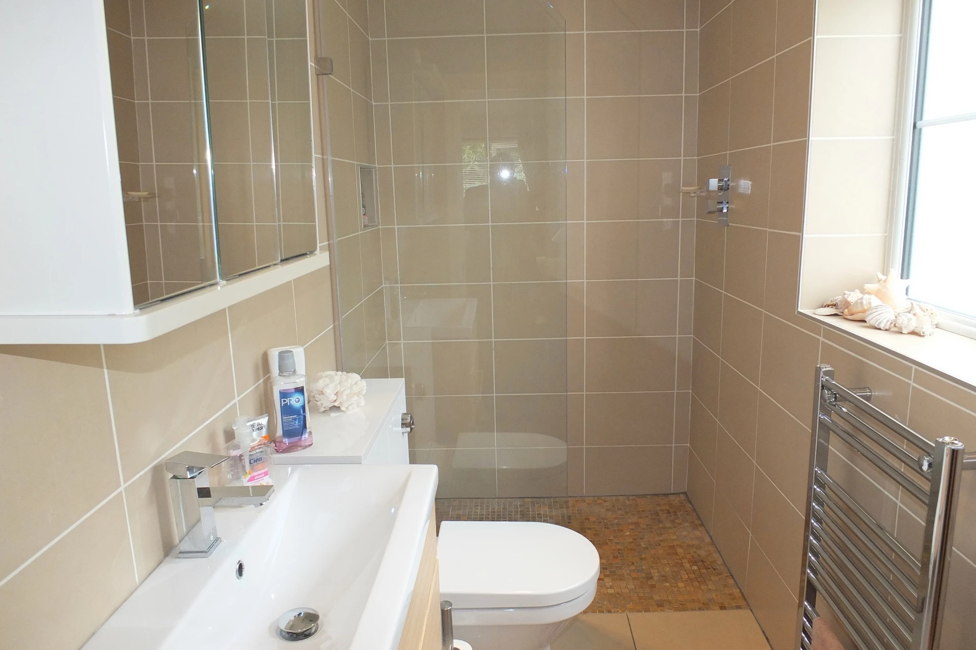 Photo 11