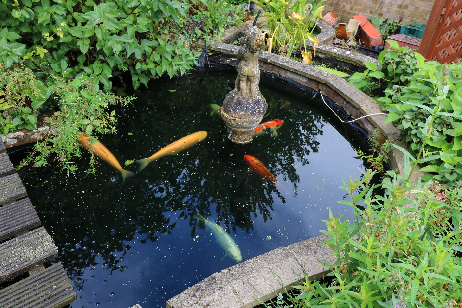 Property For Sale Pembury Close, Haywards Heath, RH16 4 Bedroom House