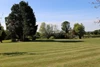 Grounds Grounds