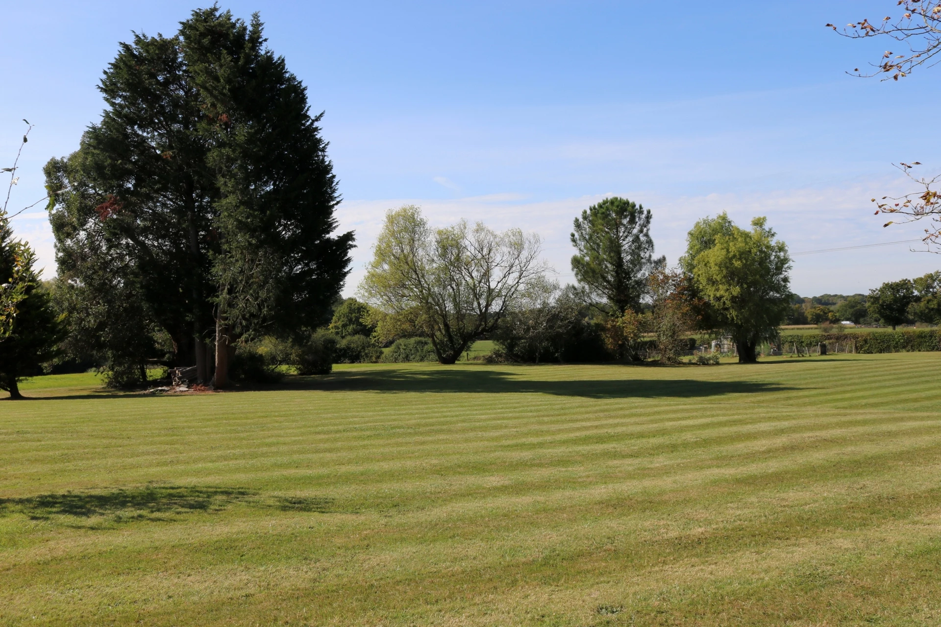 Grounds