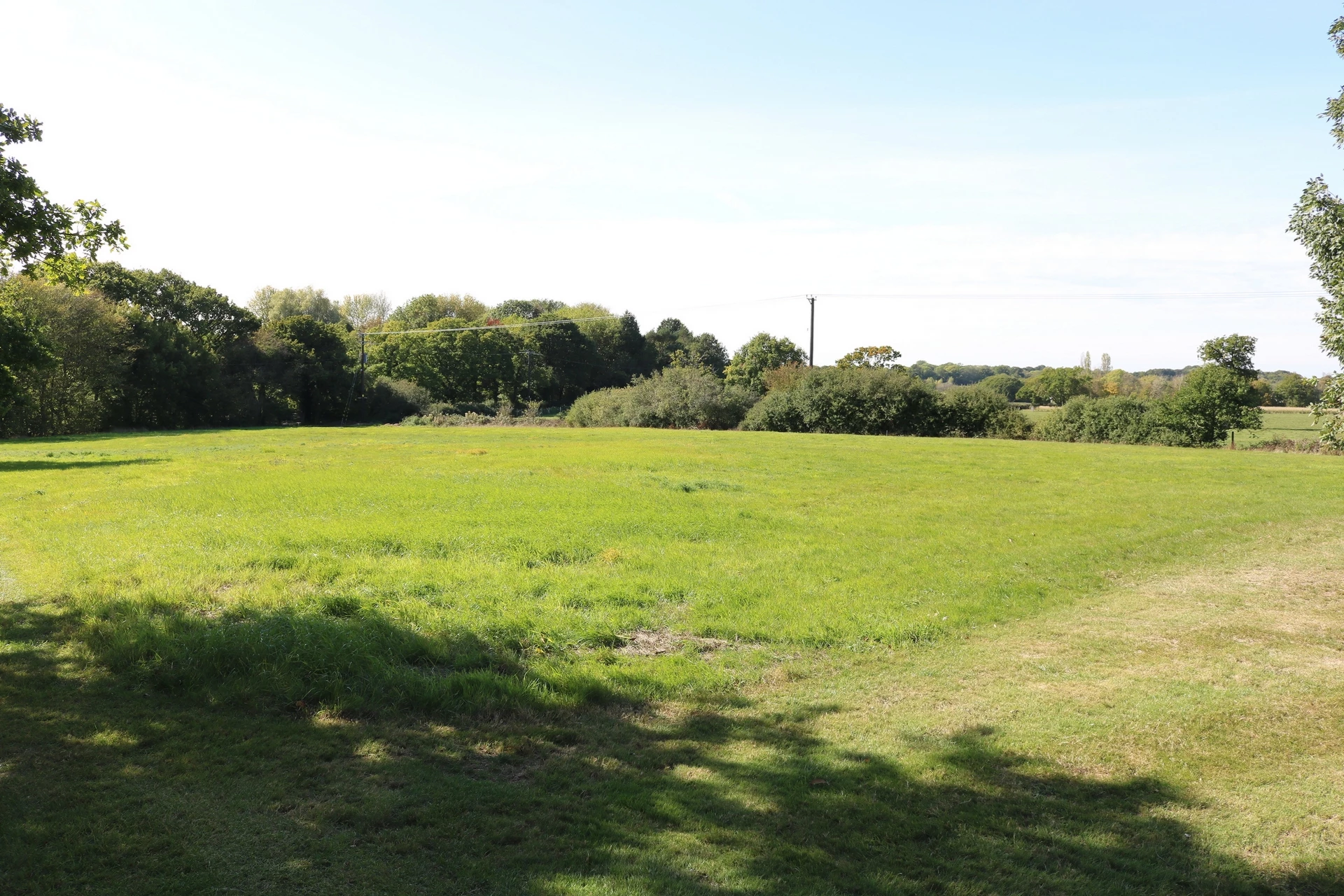 Grounds