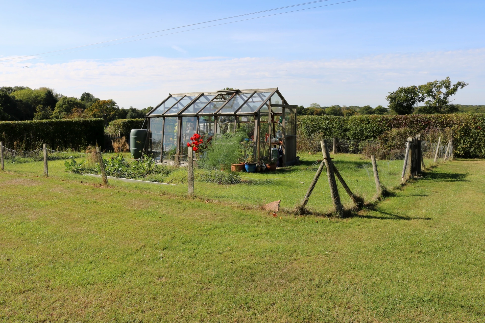 Kitchen Garden