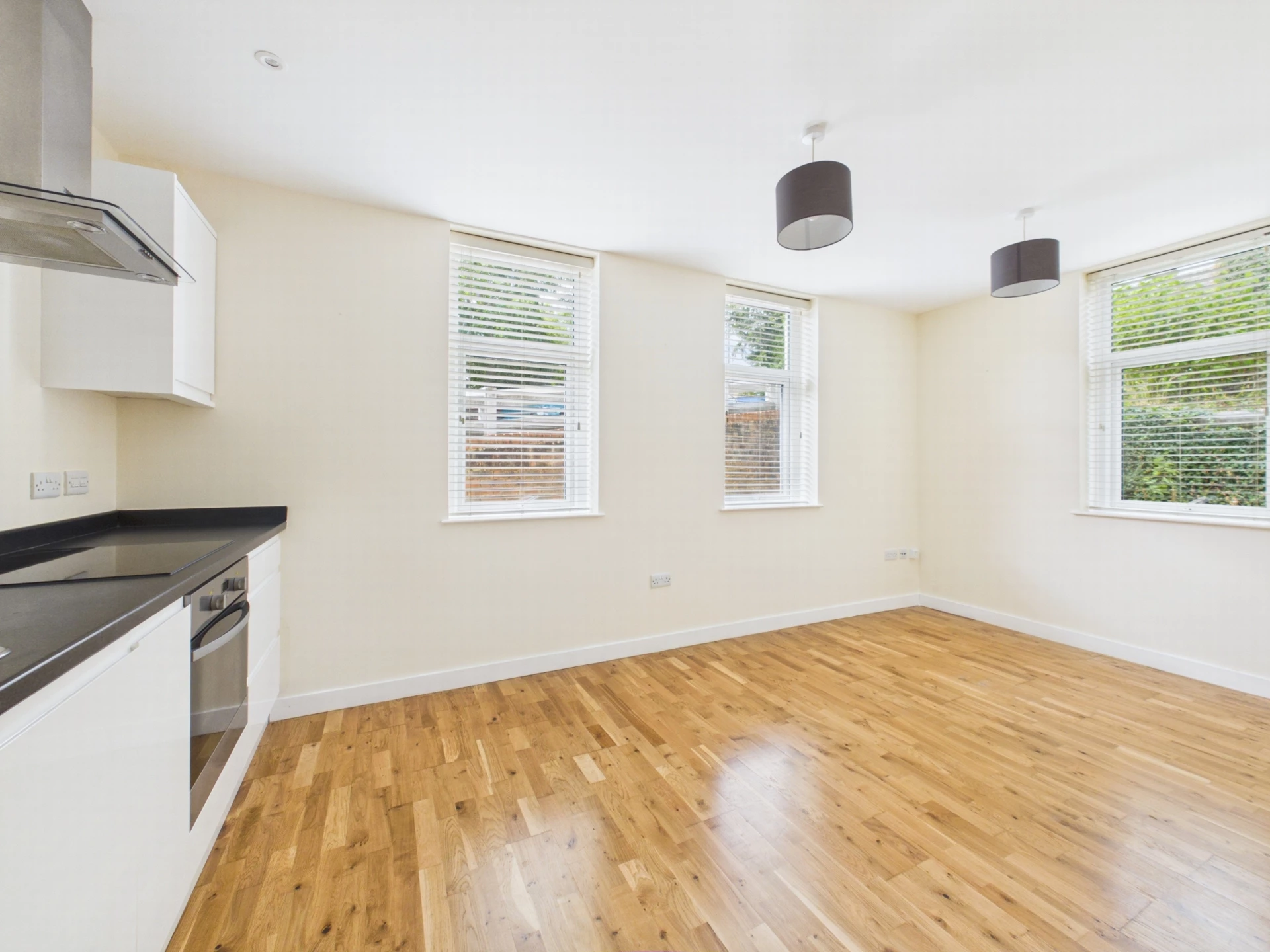 Kitchen/Living Room 4