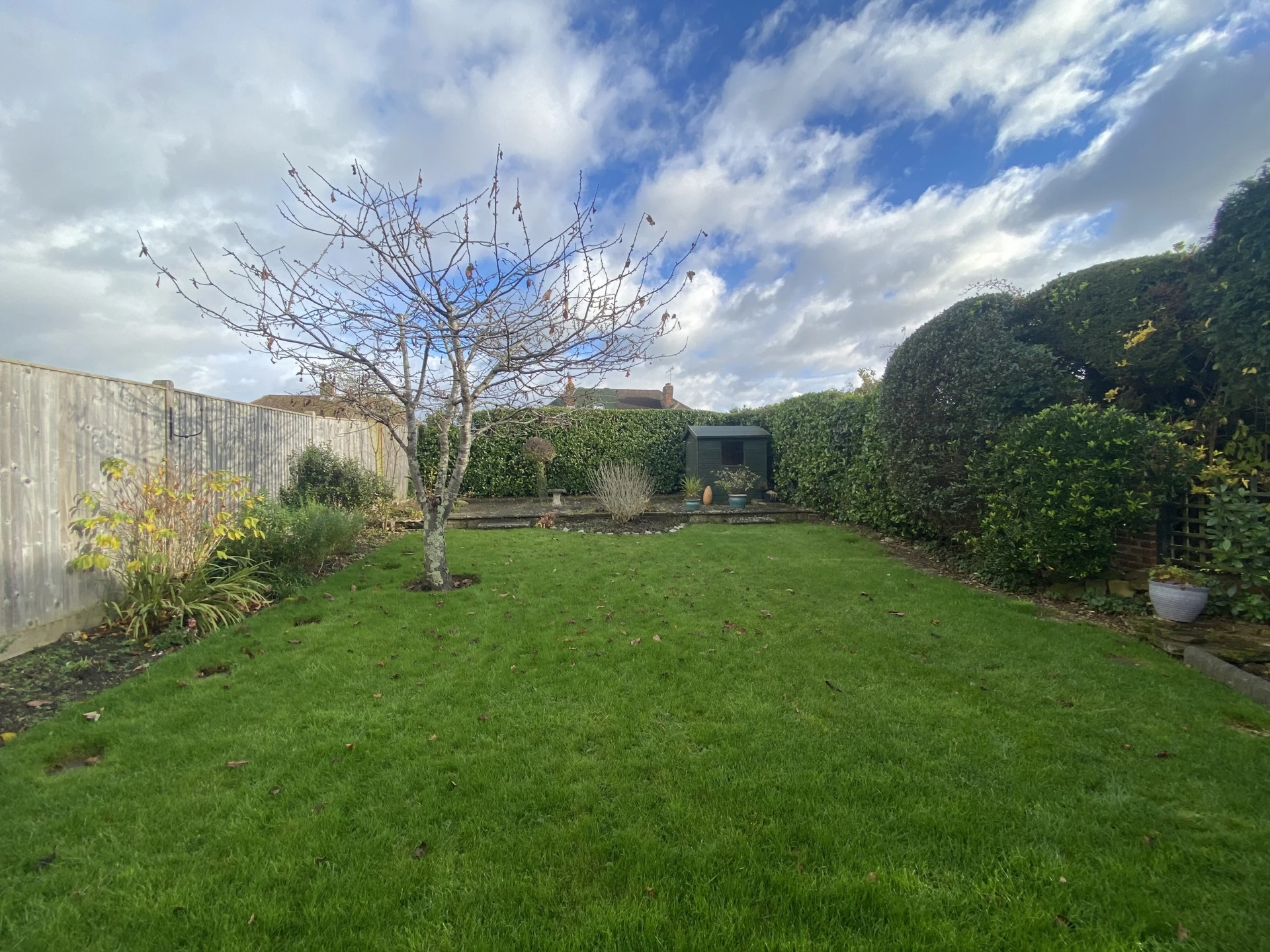 Garden 2