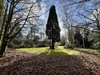 Garden Garden