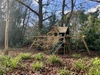 Garden Garden