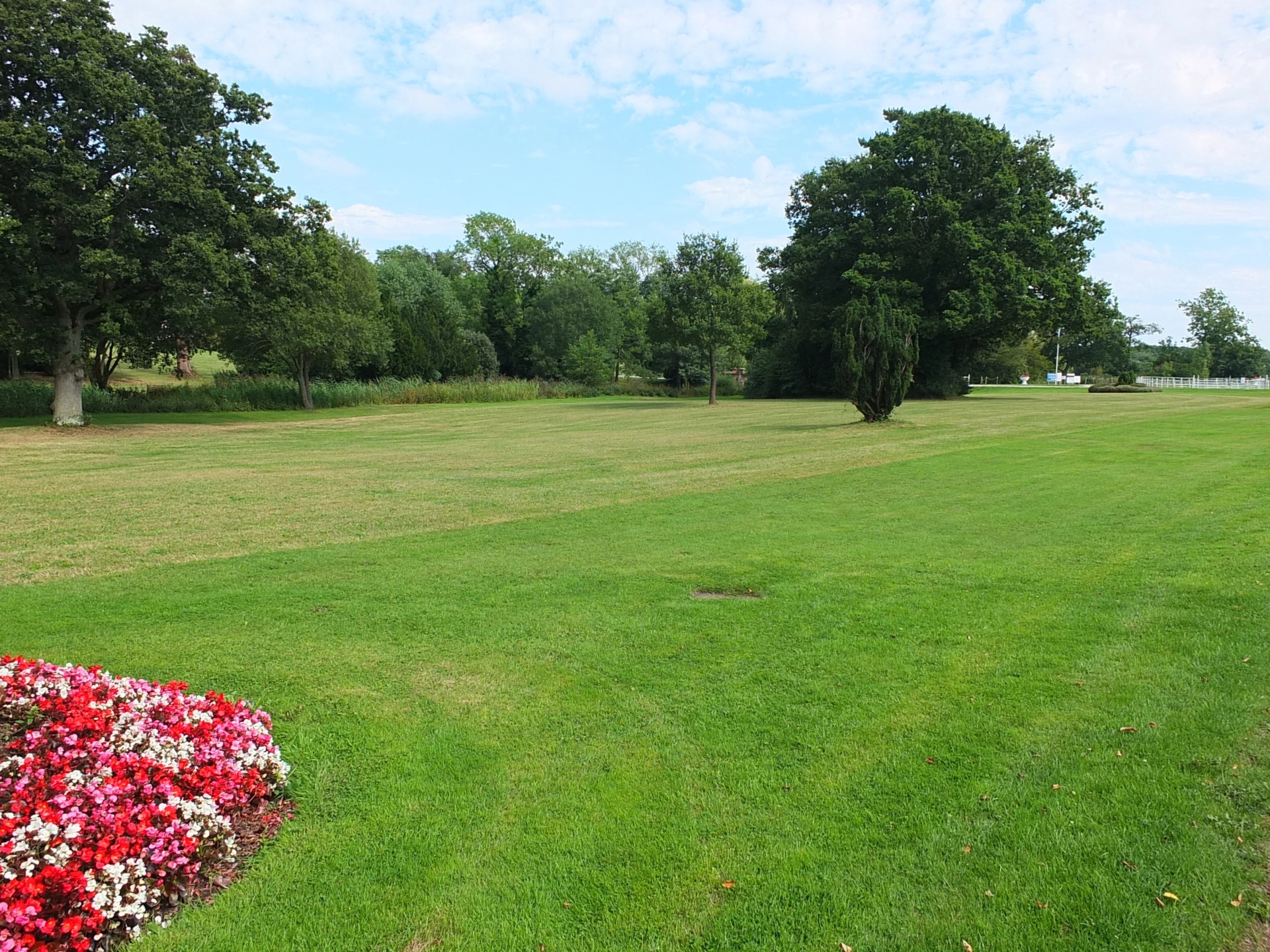 Grounds