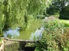Pond Pond