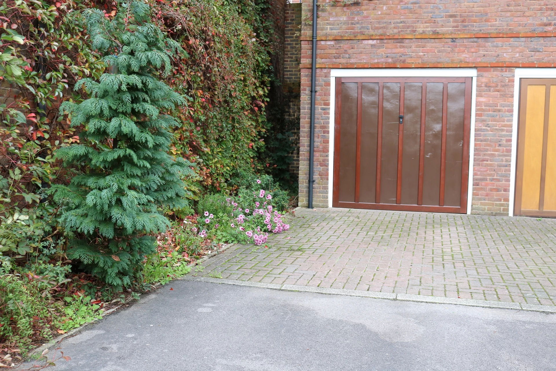 Garage & Parking