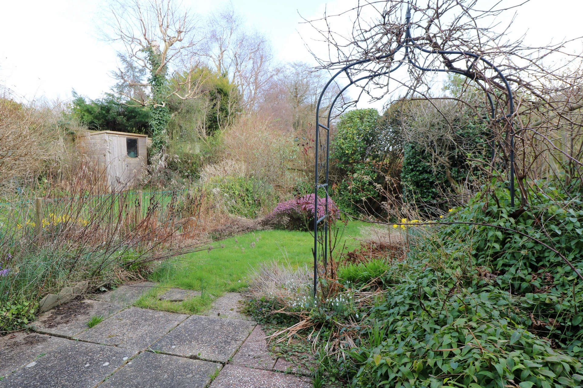 Garden