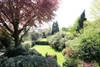 Garden Garden