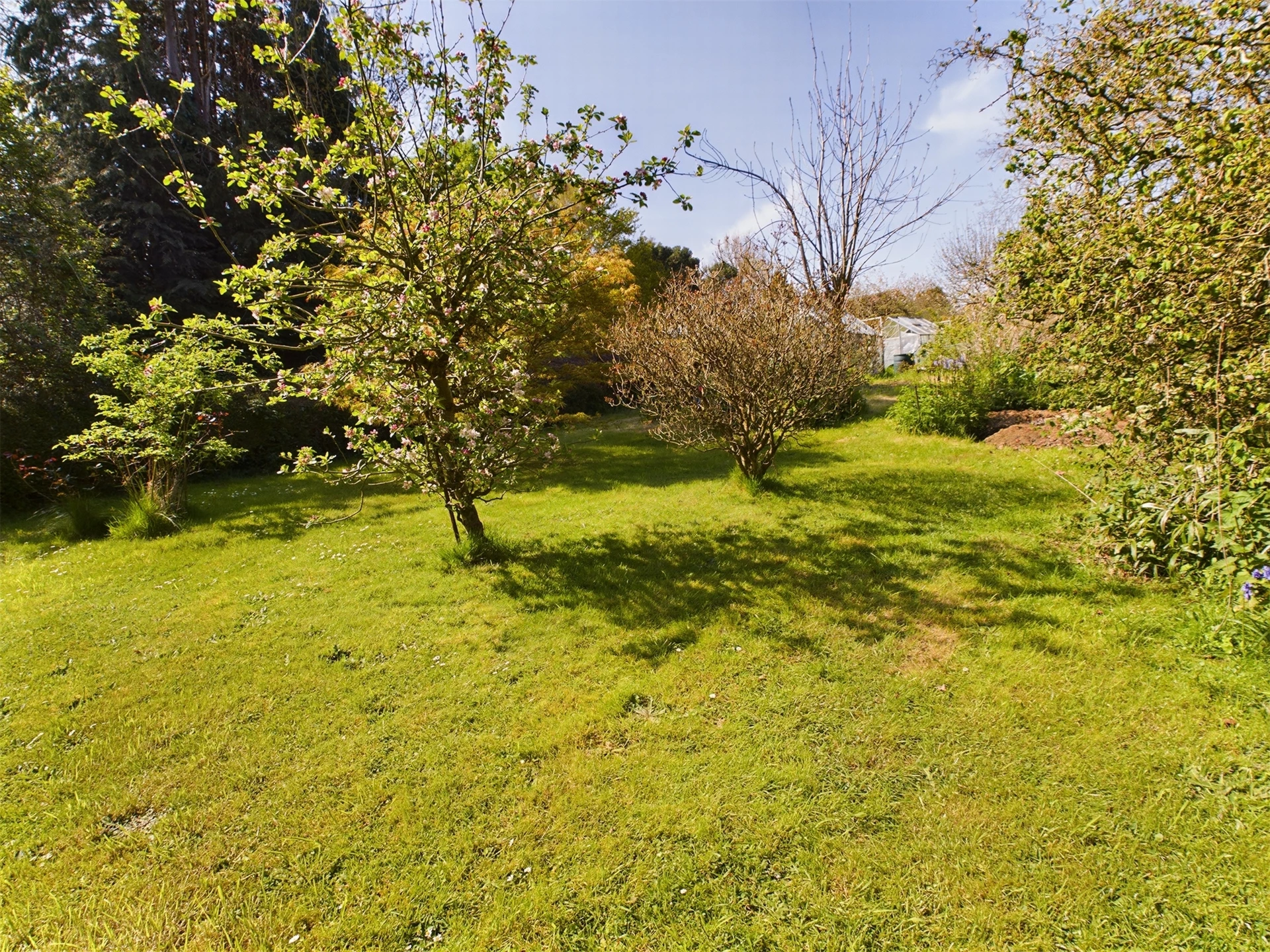 Orchard