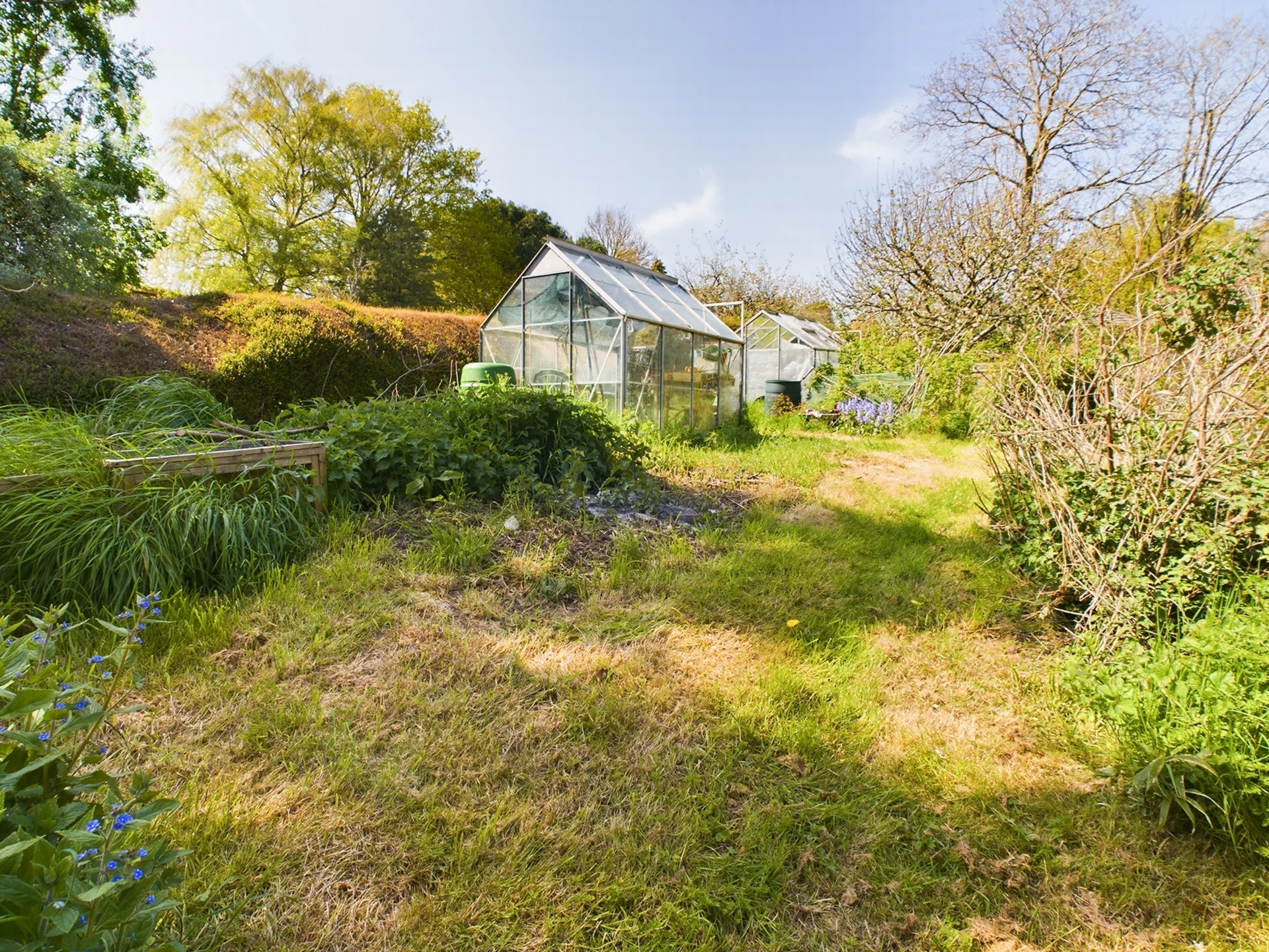 Kitchen Garden