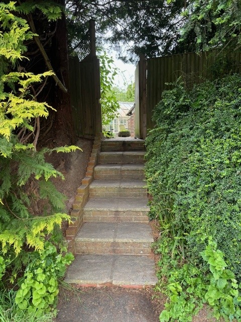 Steps Access