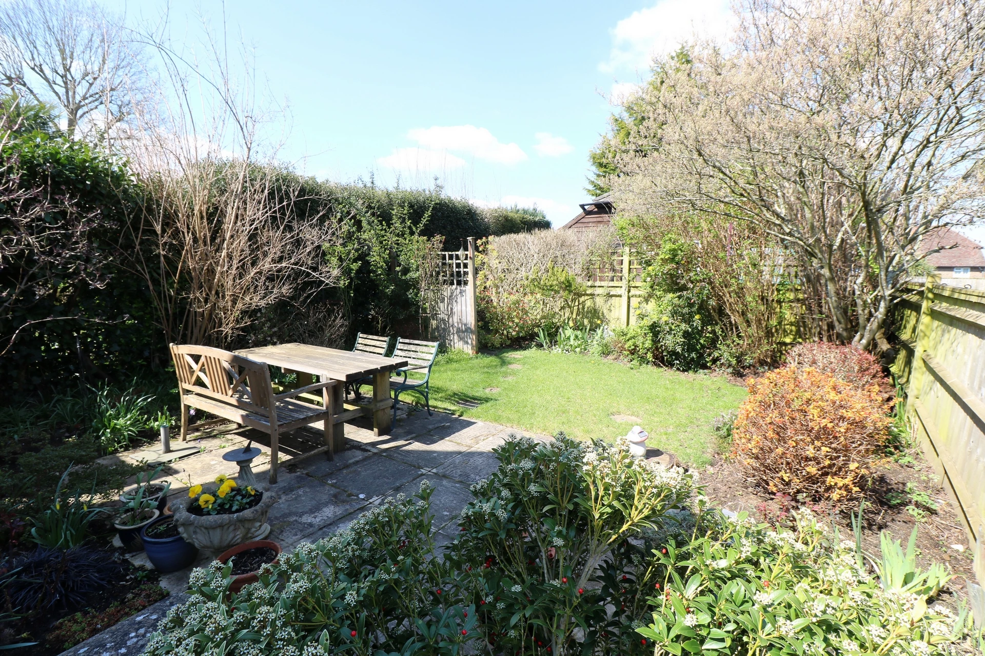 Garden