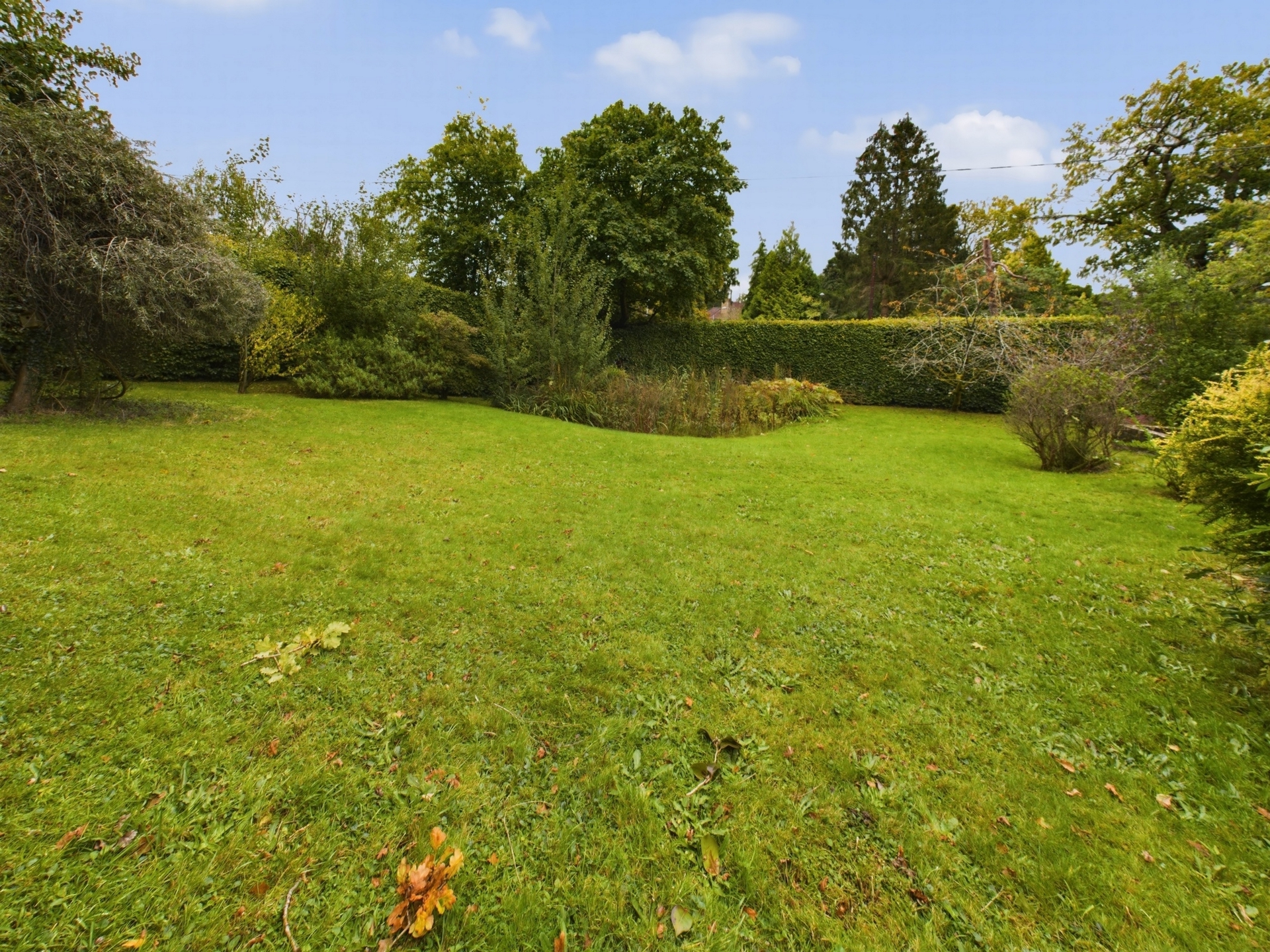 Front Garden