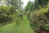Rear Garden Rear Garden