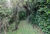 Walkway Walkway