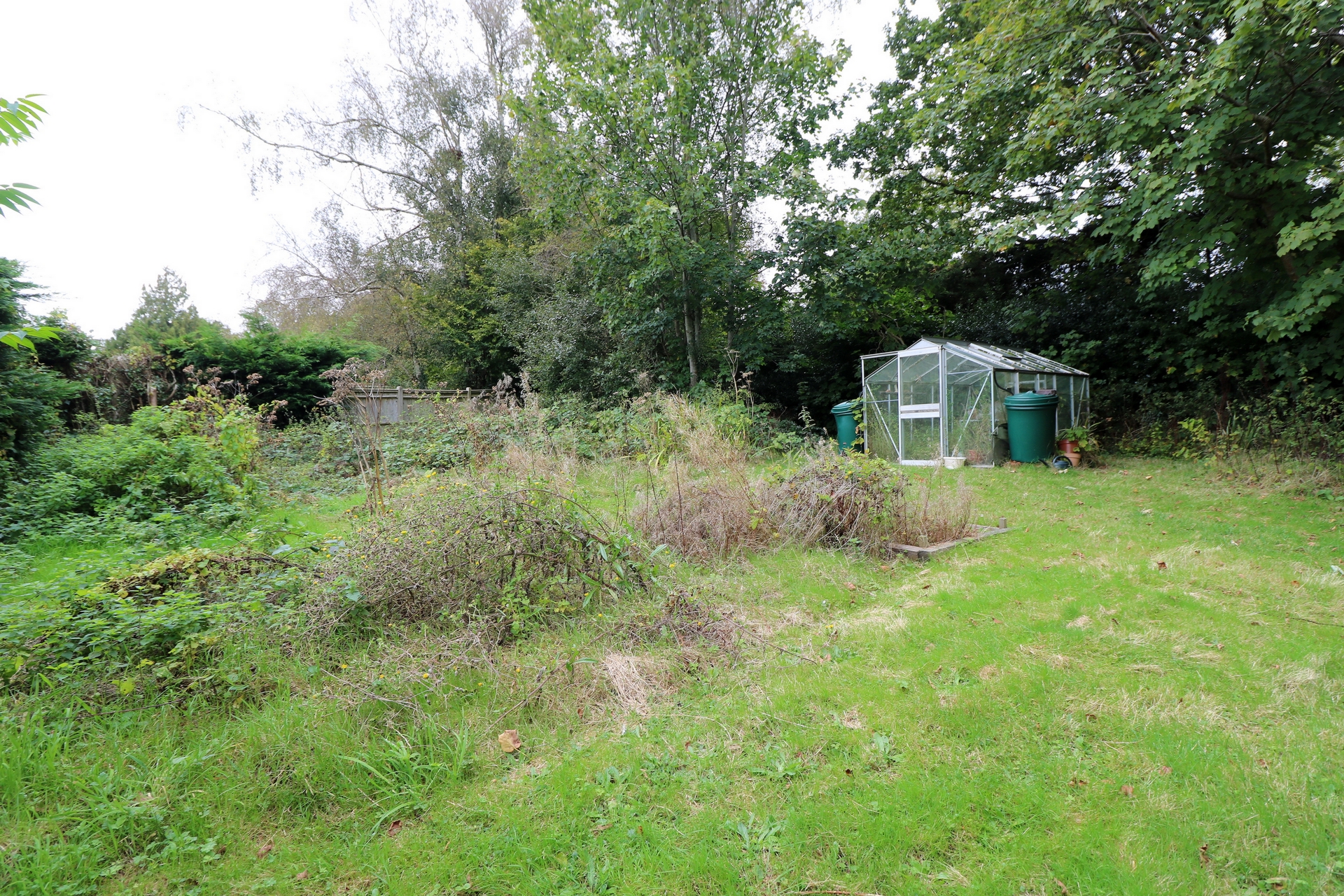 Kitchen Garden