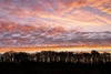 Sunset Sunset