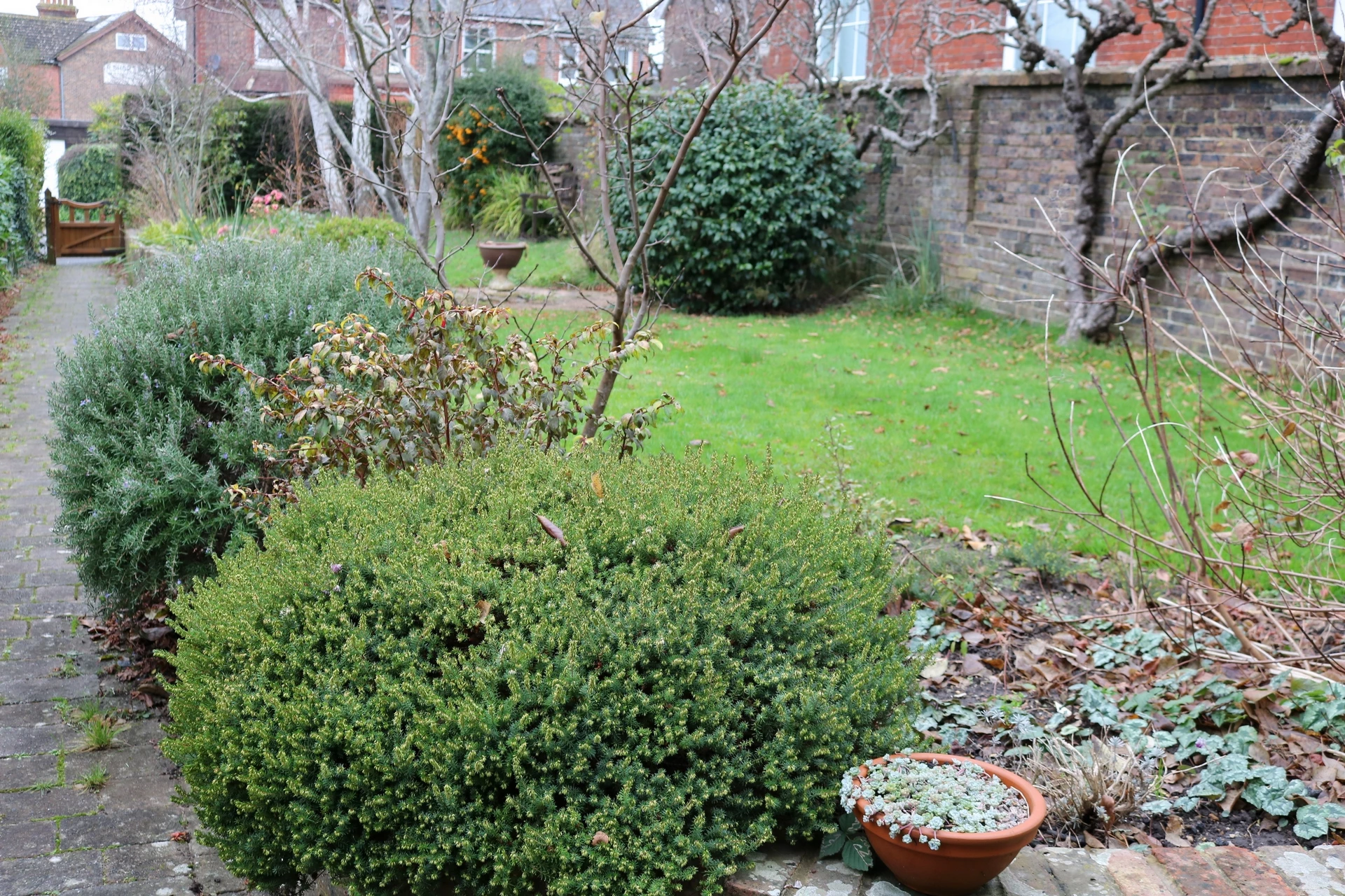 Front Garden