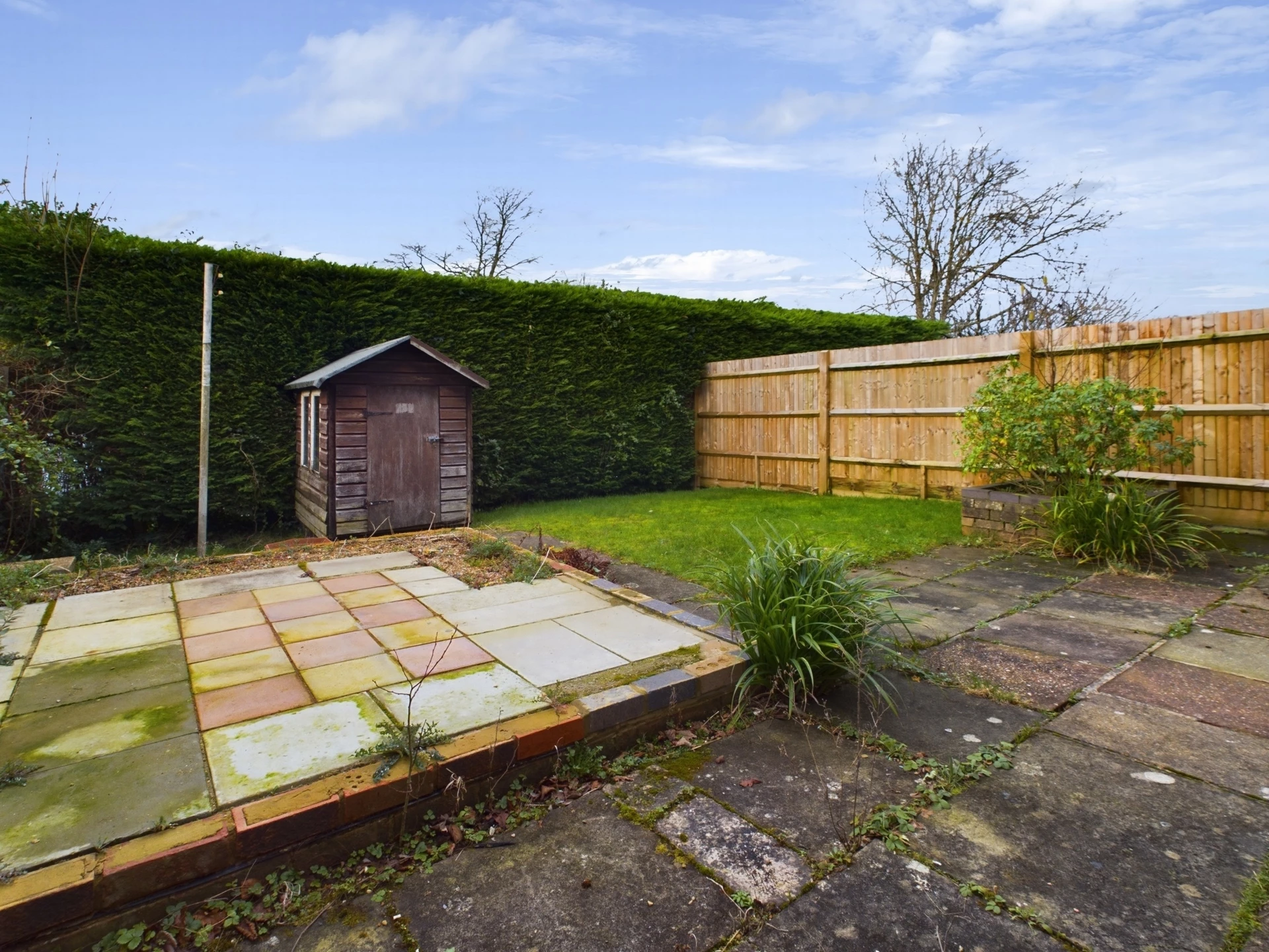 Garden