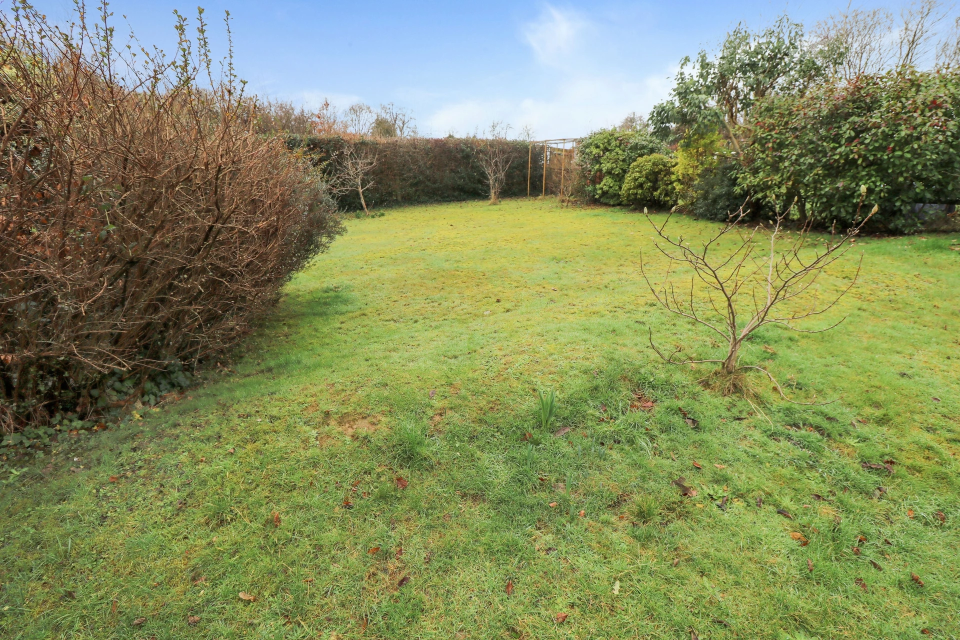 Rear Lawn