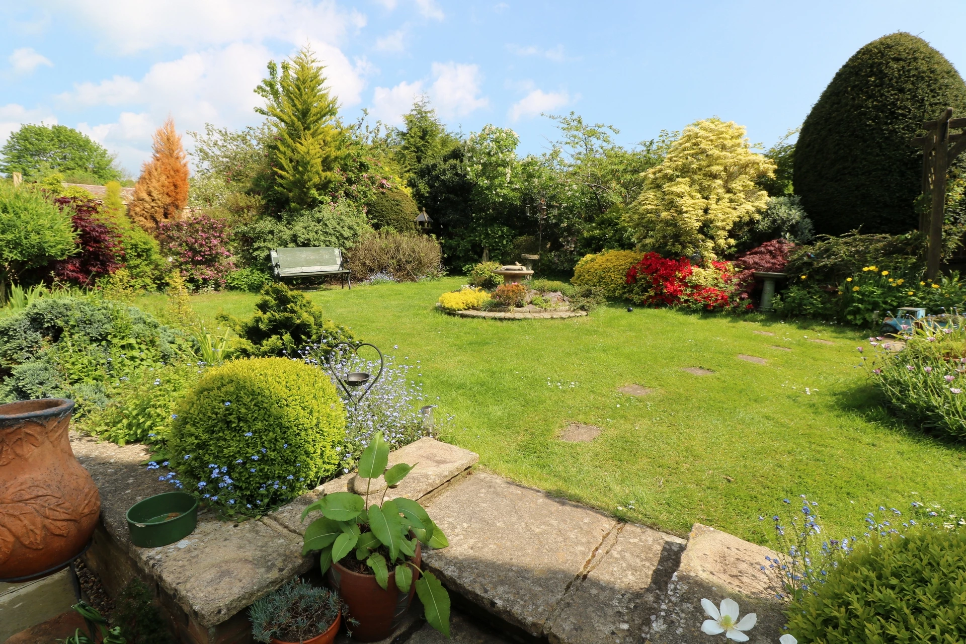 Garden