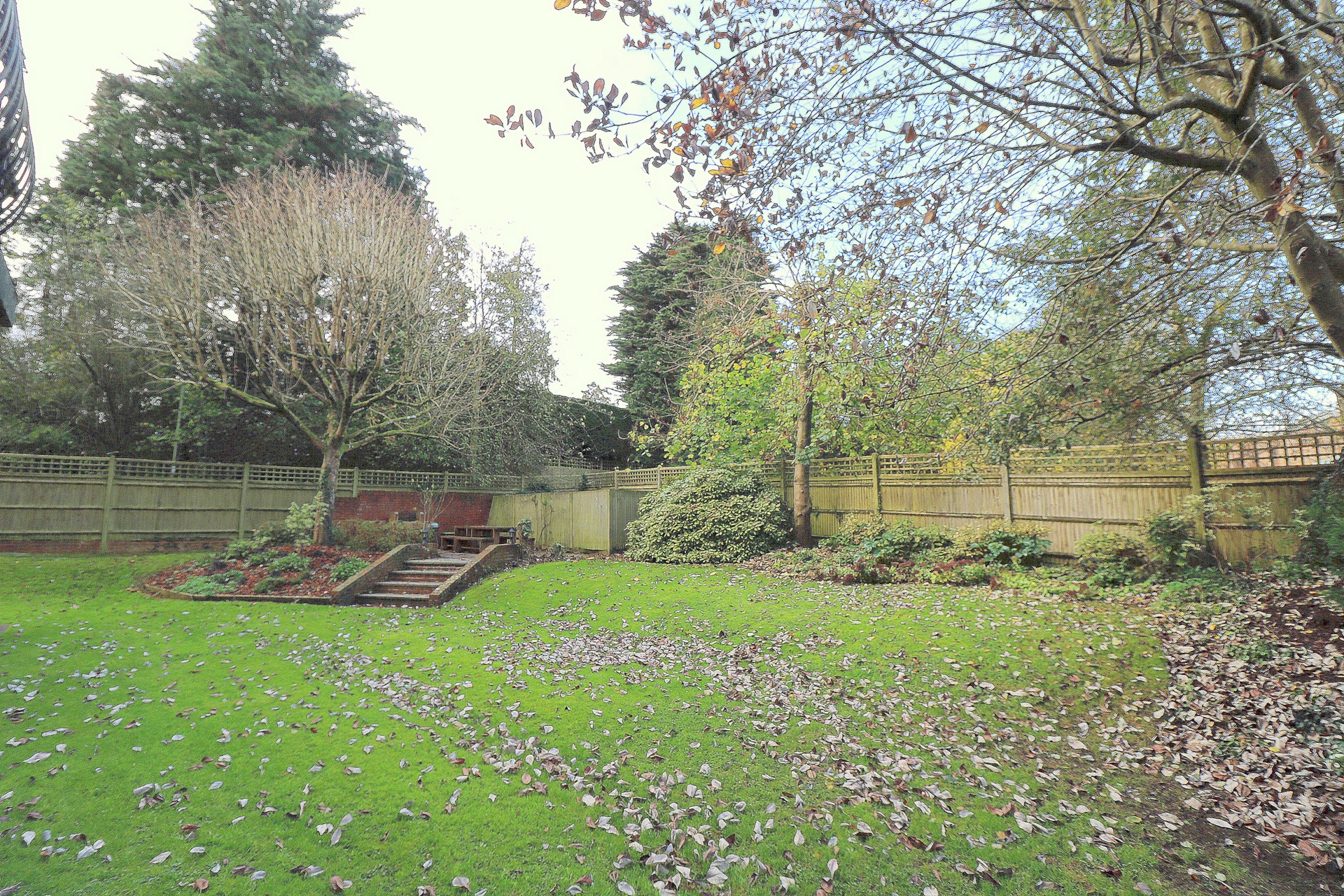 Communal Garden