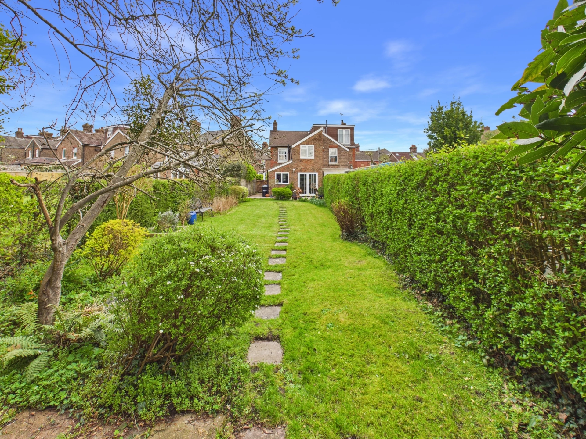 garden 3