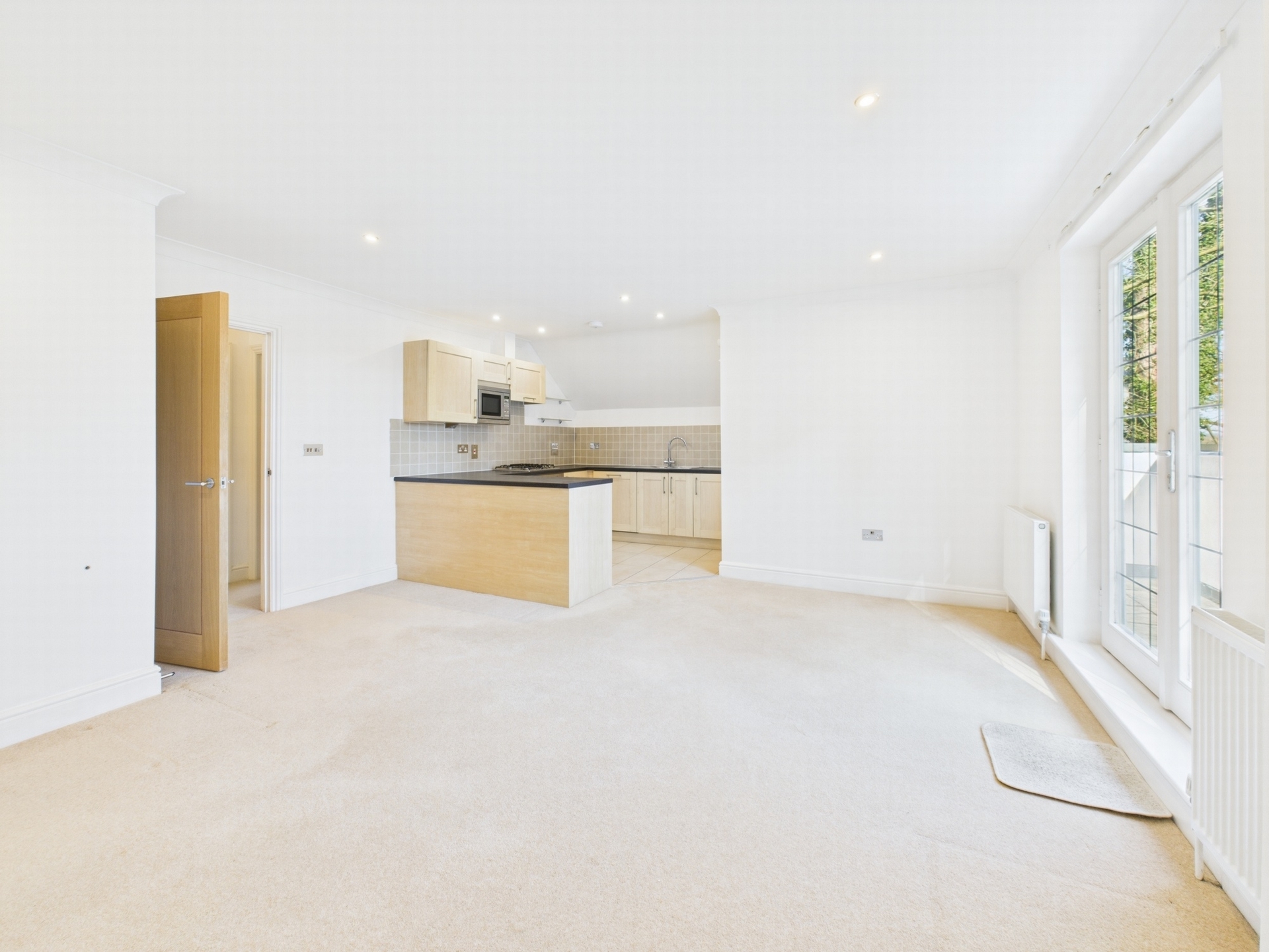 Living Room/Kitchen
