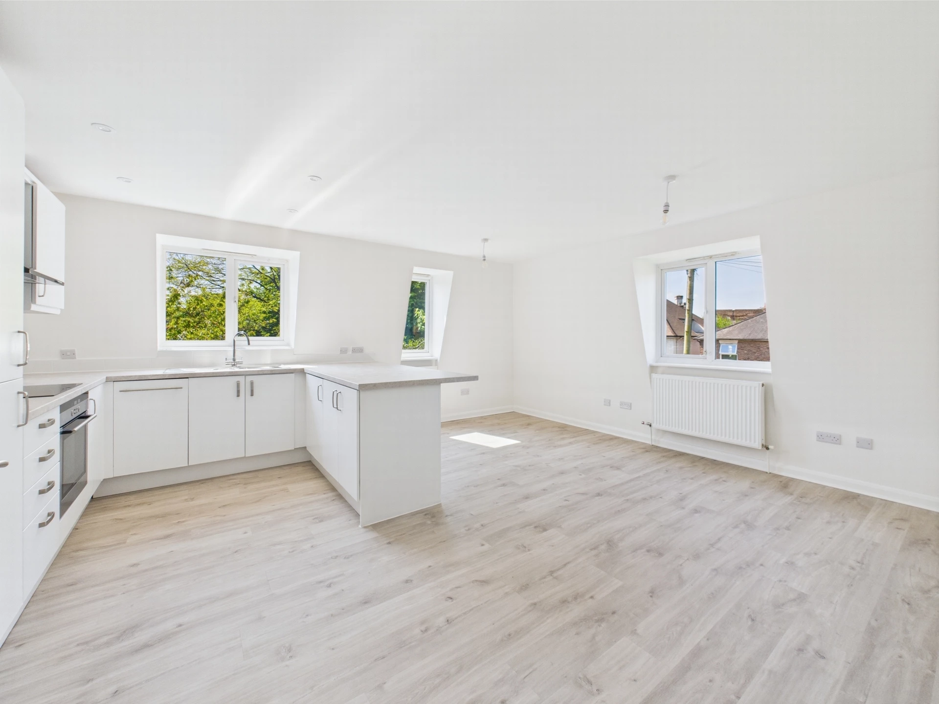 Kitchen/Living/Dinin