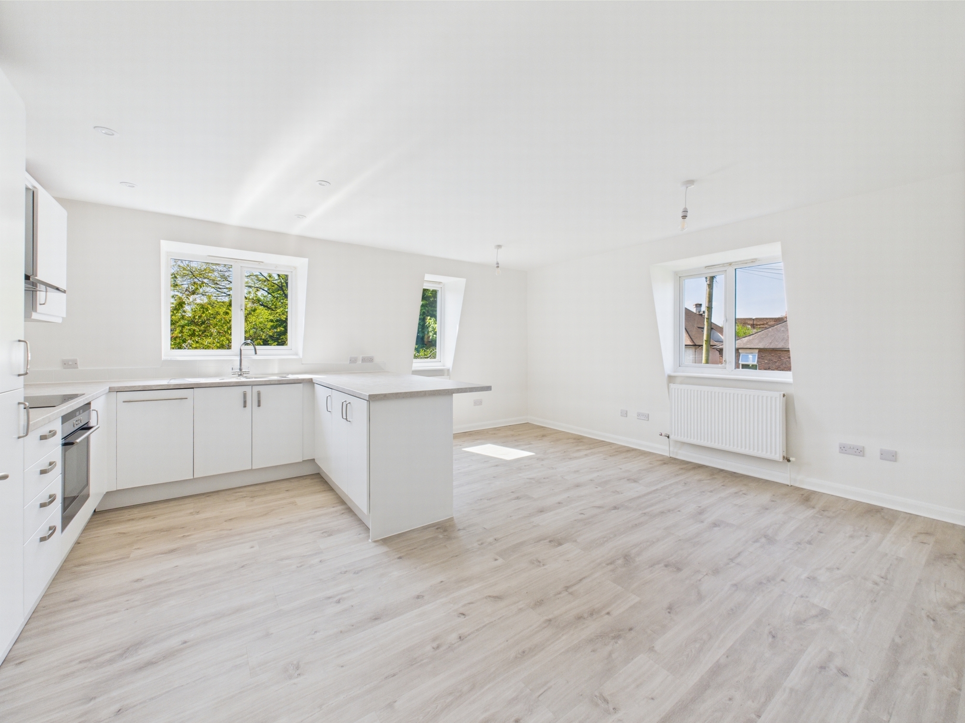 Kitchen/Living/Dinin
