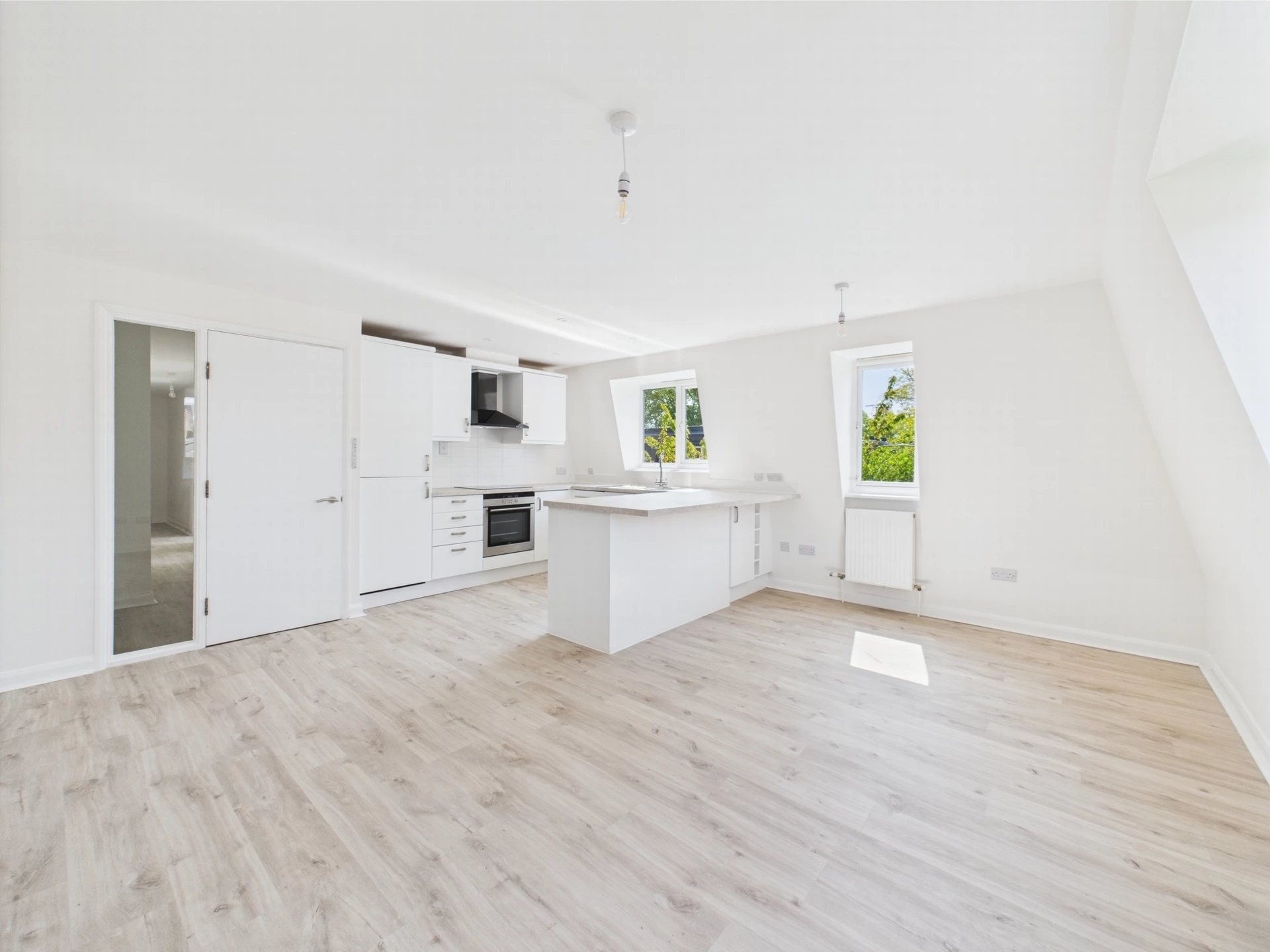 Kitchen/Living/Dining
