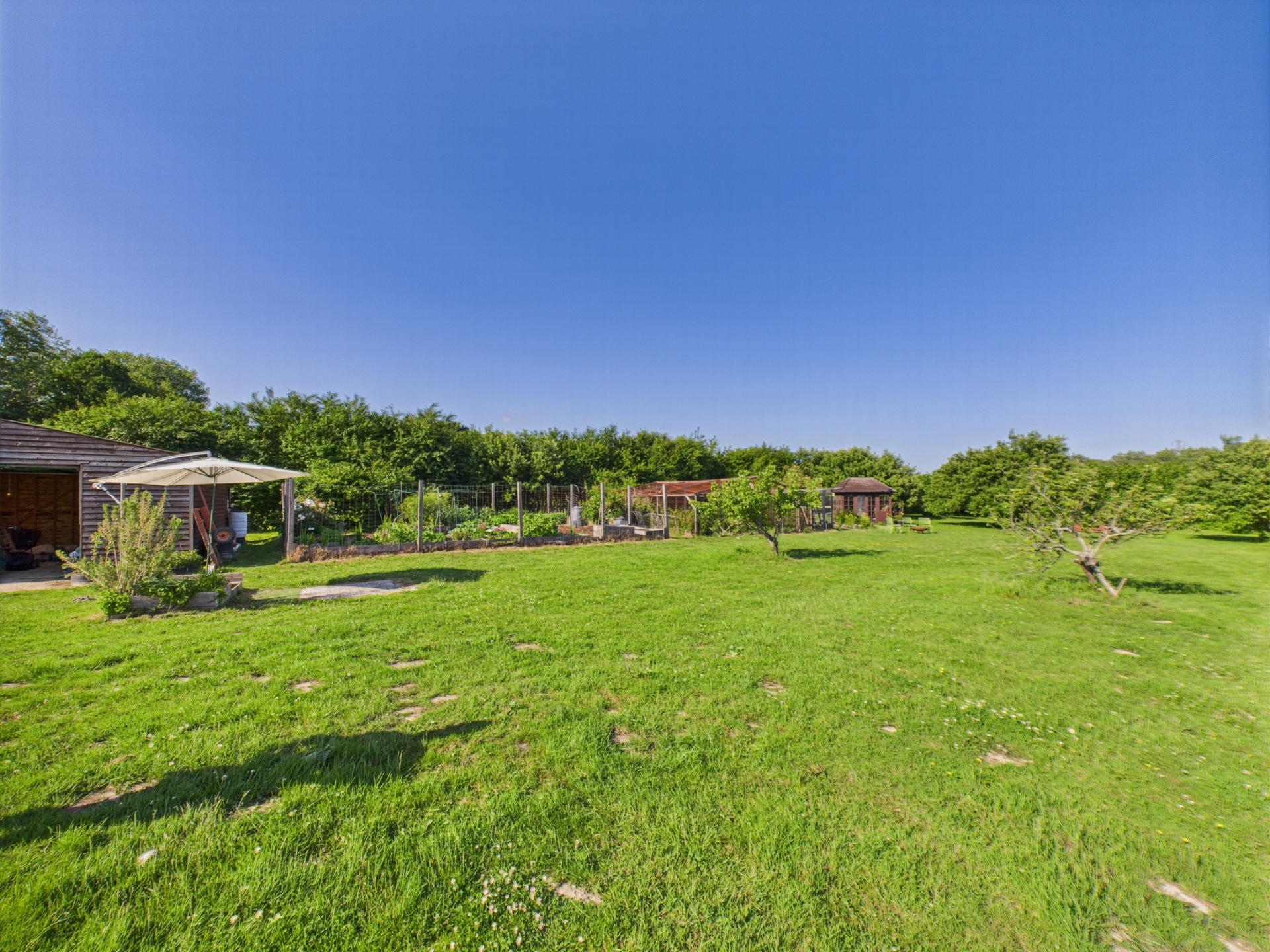 meadow 3