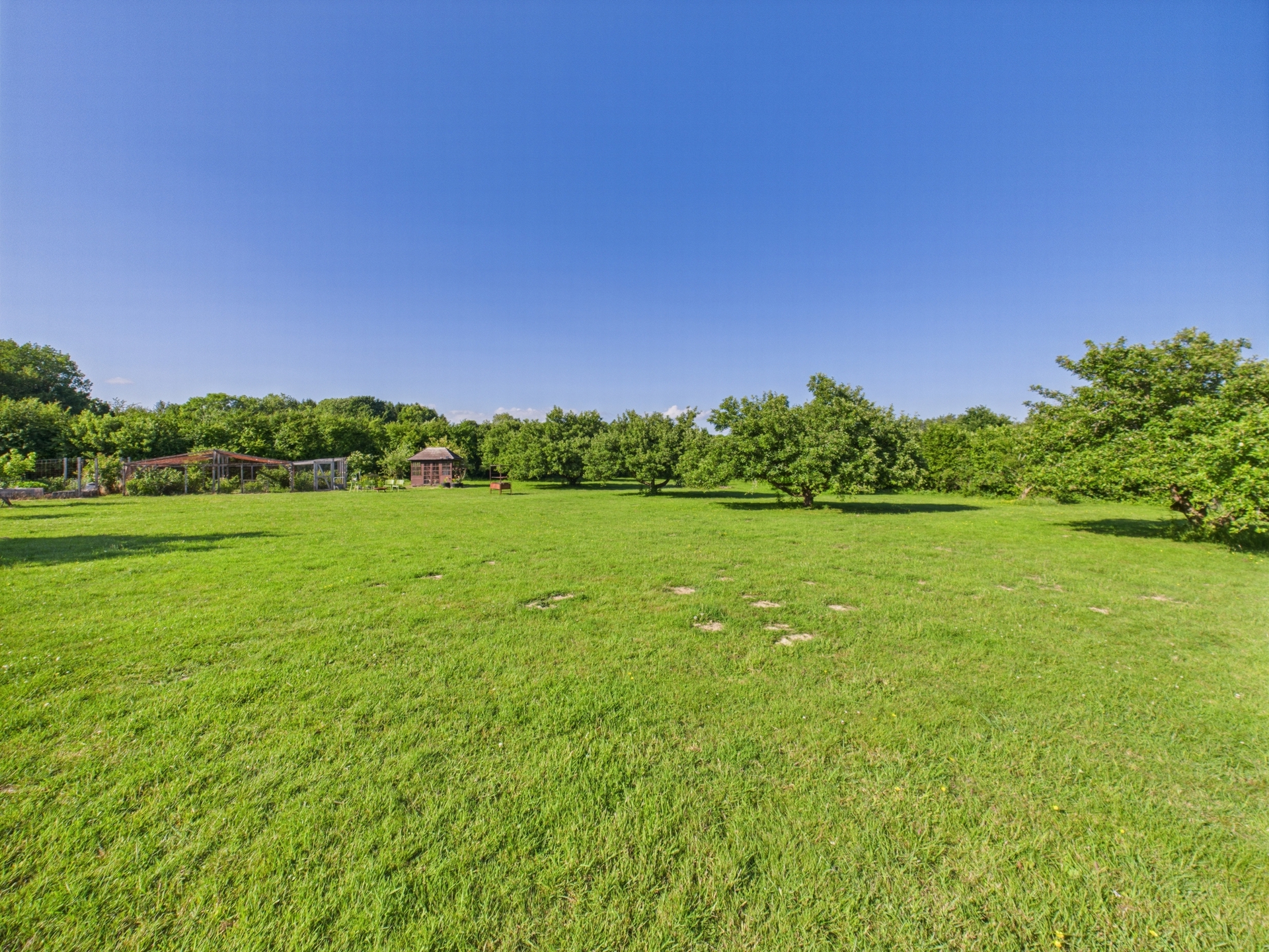Meadow