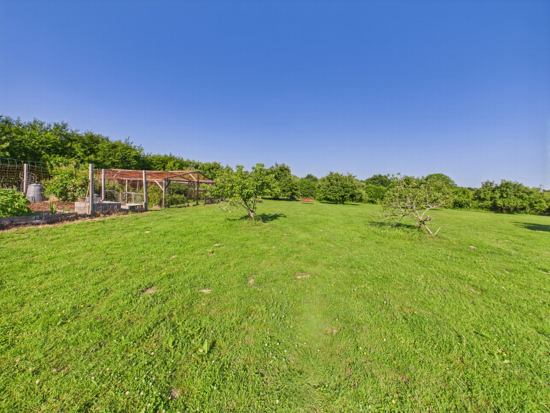 Meadow 8