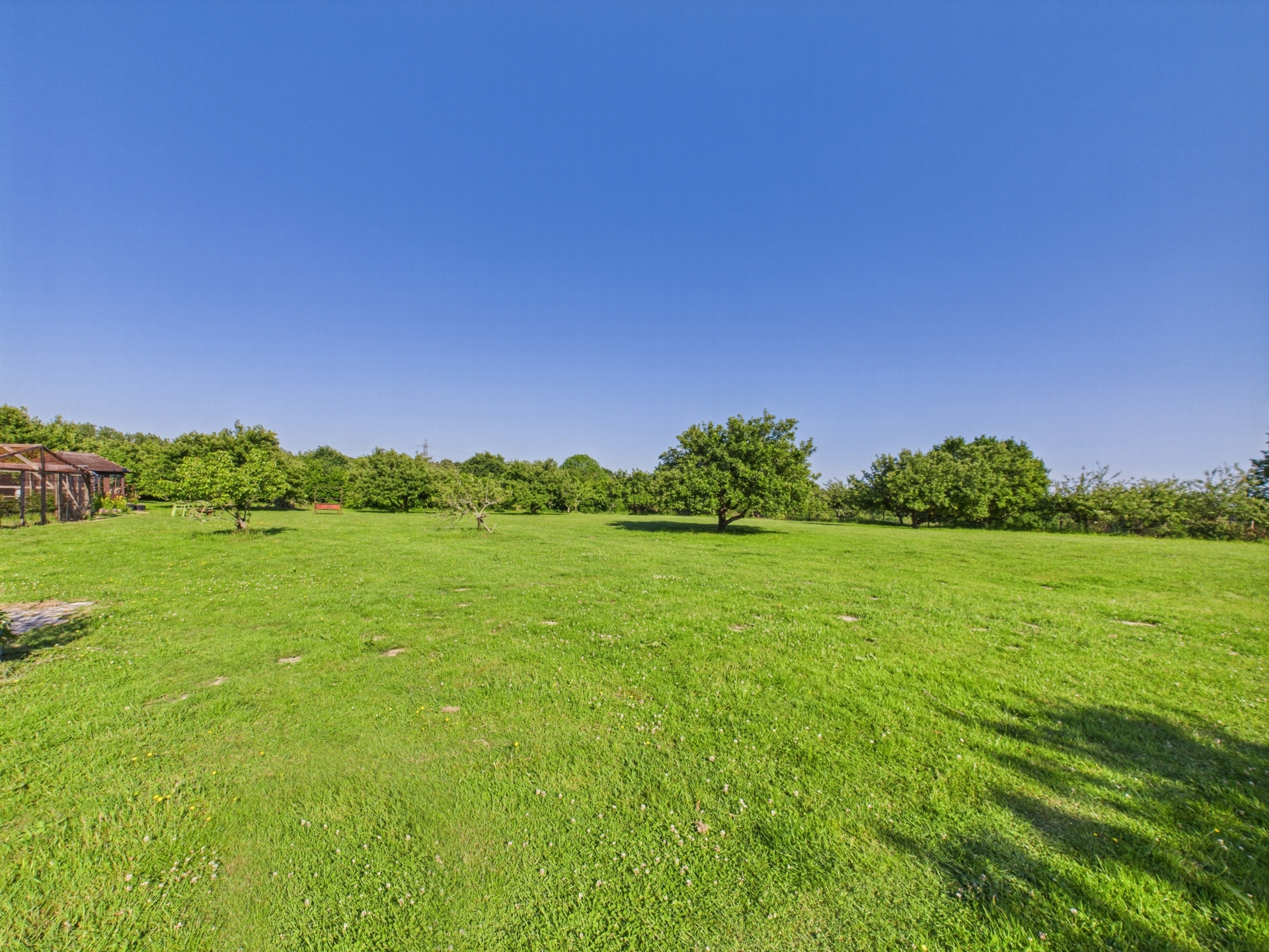 Meadow 9