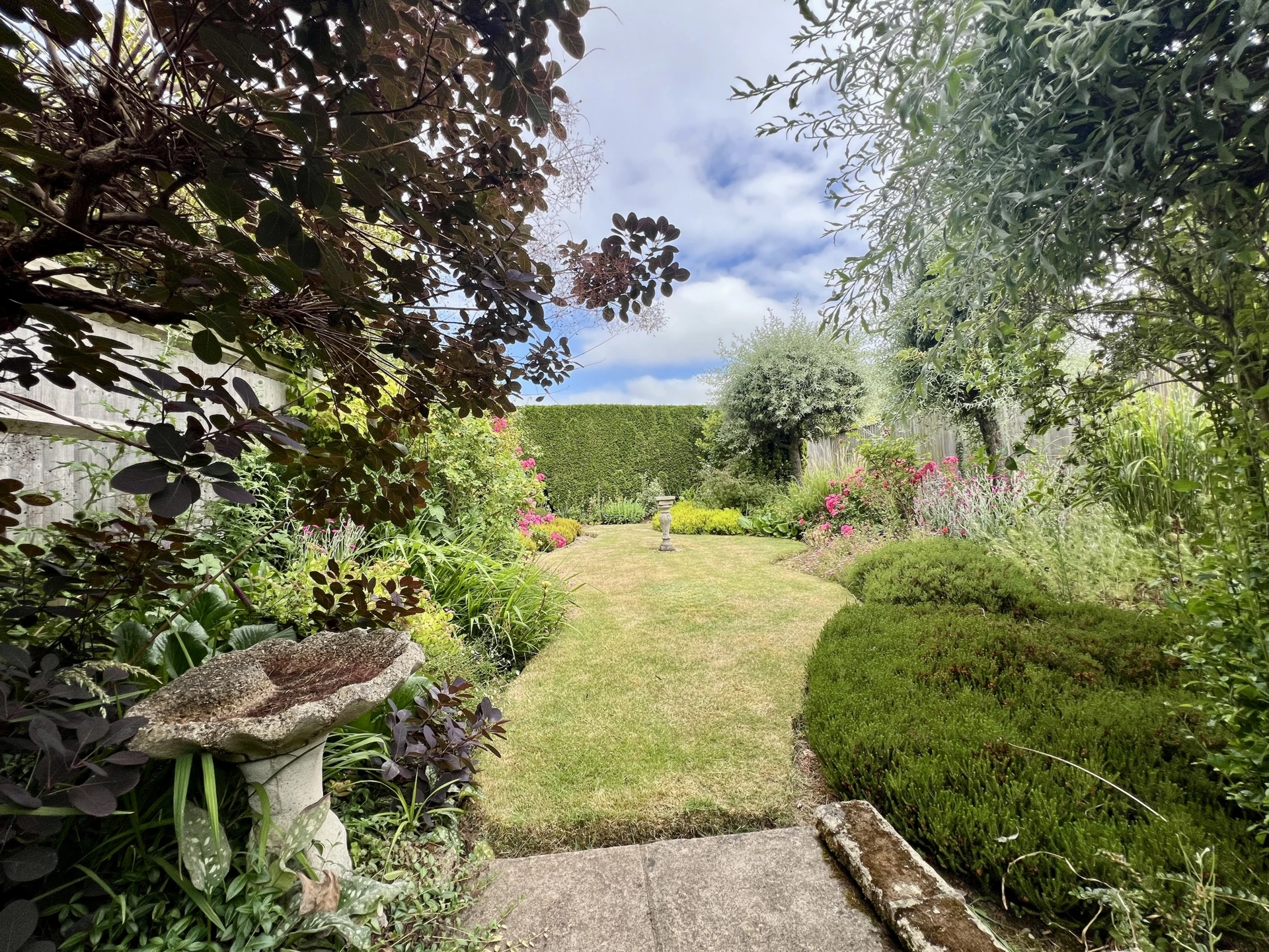 garden 1