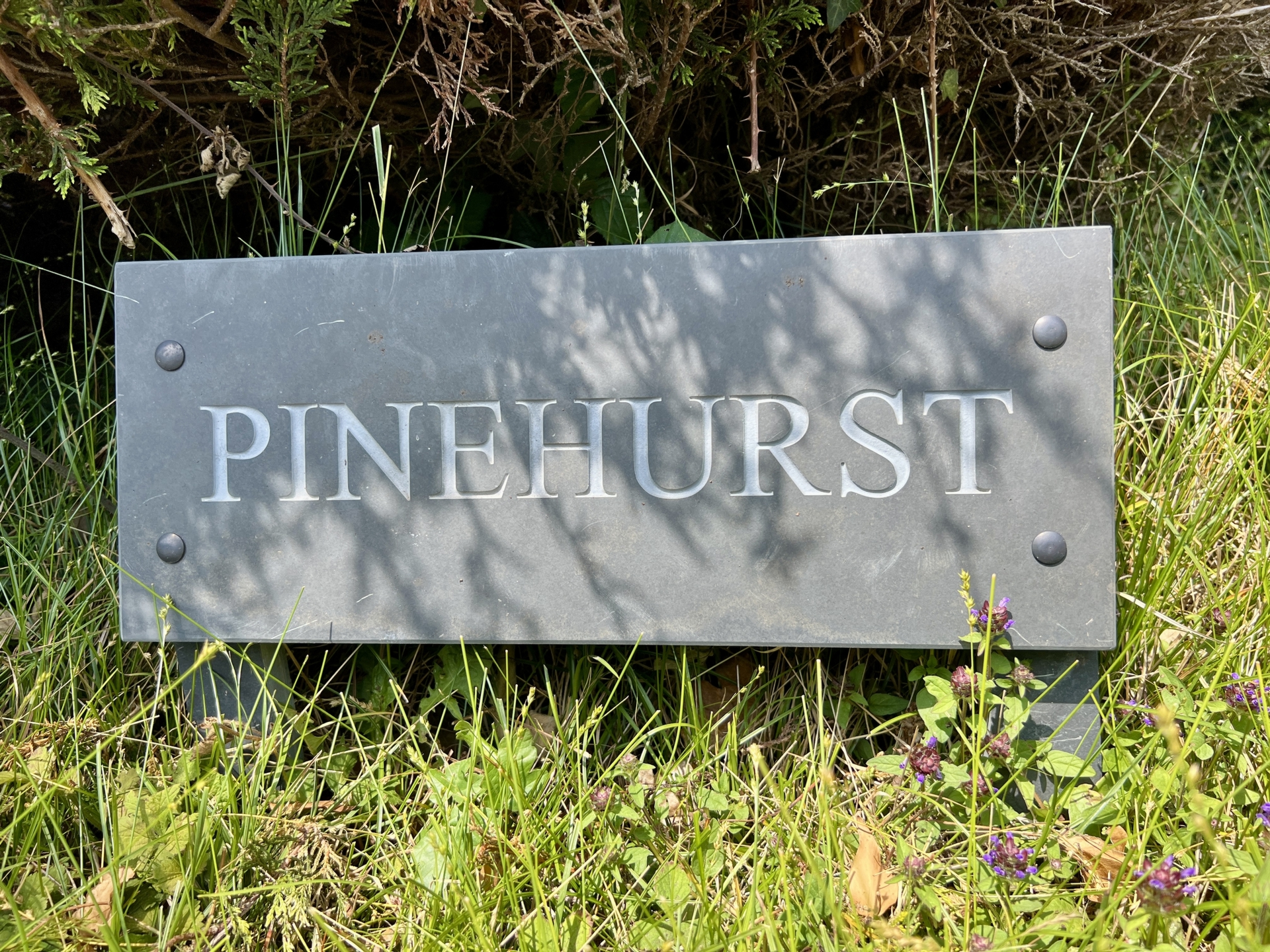Pinehurst