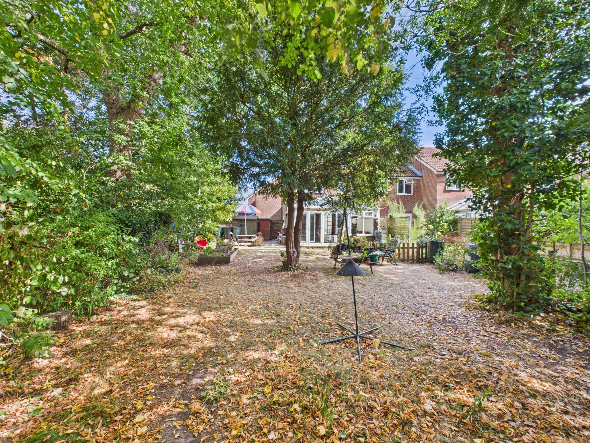 garden 1