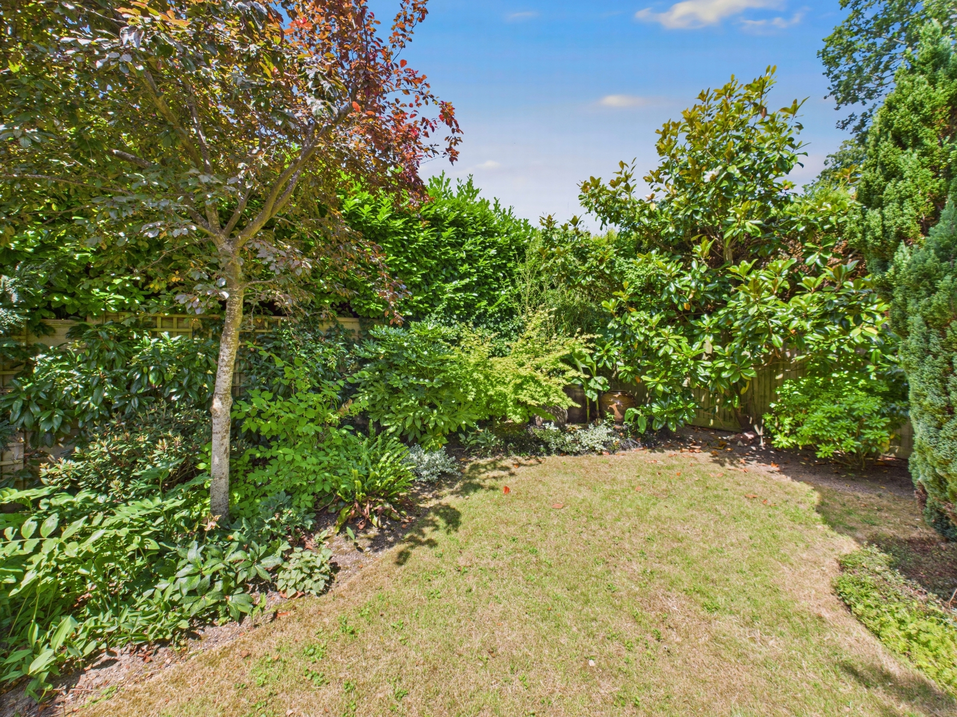 Garden 3